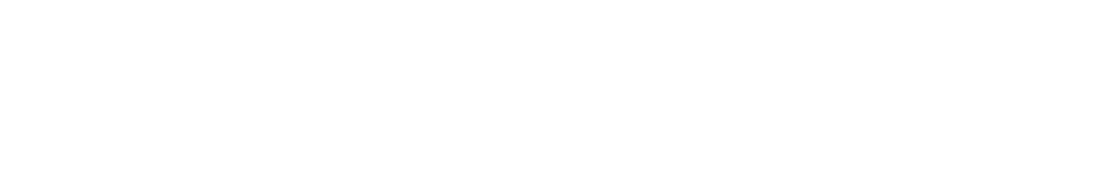 logo light
